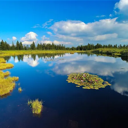 Appartement Apartma Nika *