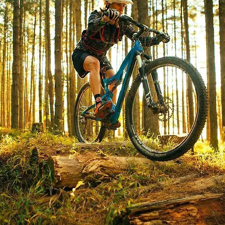 Apartma Nika * Ribnica na Pohorju