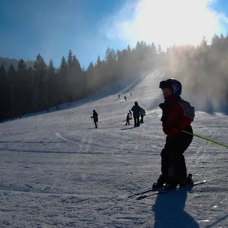 Apartma Nika Apartamento Ribnica na Pohorju