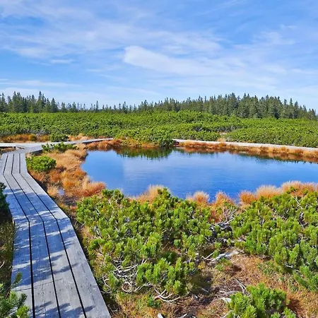 Appartement Apartma Nika