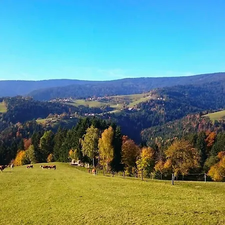 Appartement Apartma Nika