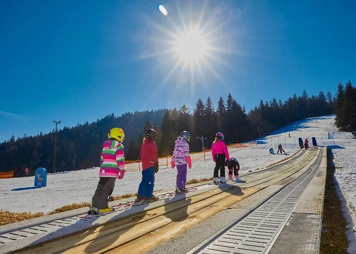 Apartma Nika Appartement Ribnica na Pohorju