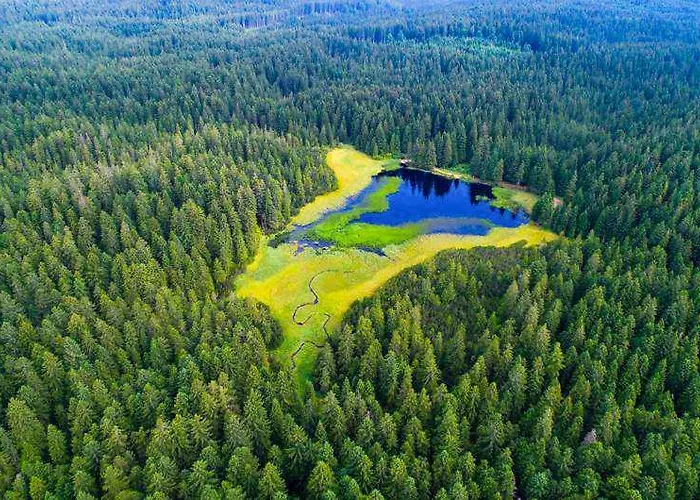 Appartement Apartma Nika