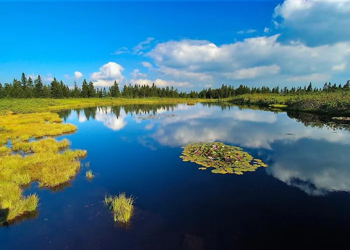 Apartamento Apartma Nika *