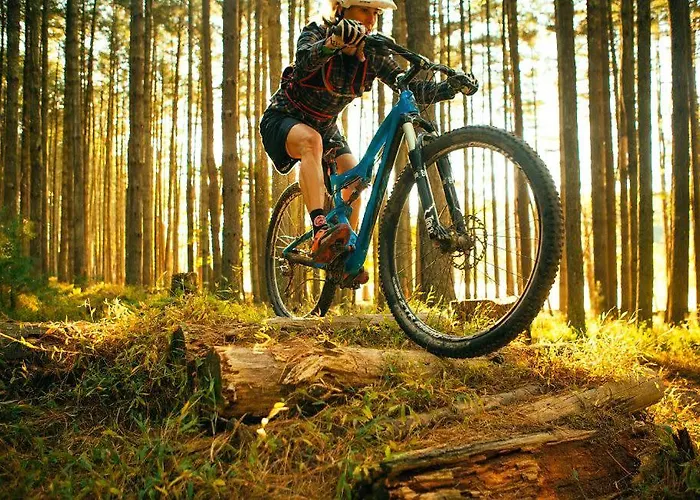 Apartma Nika * Ribnica na Pohorju