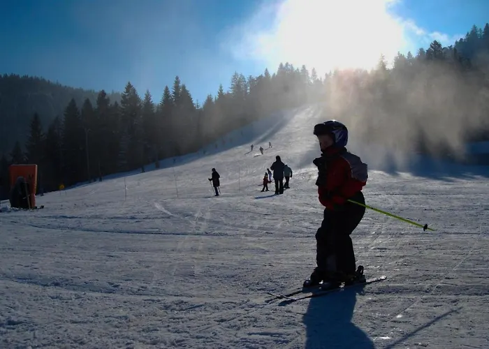 Apartma Nika Appartement Ribnica na Pohorju