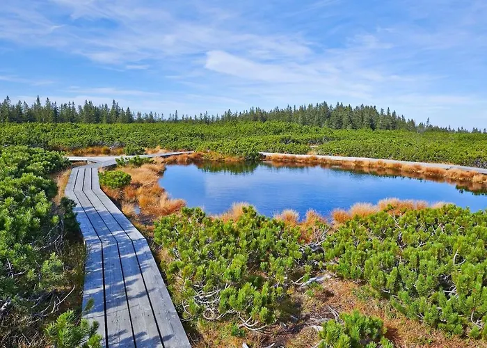 Appartement Apartma Nika